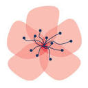 americanblossomlinens.com logo