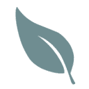 californiateahouse.com logo