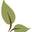 chartingnature logo