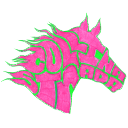 collinastrada logo