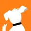 dogtv.com logo