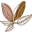 eraofnature logo