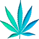 imbuebotanicals.com logo