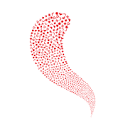 korikrilloil.com logo