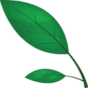 naturesmace.com logo