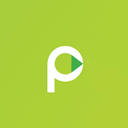 paycepaid.com logo