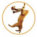 savethecat.com logo