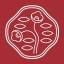 shiseido.com logo