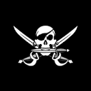 skallywagtactical.com logo