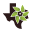 texassuperfood.com logo
