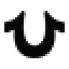 True Religion logo
