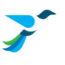 wealthfluent.com logo