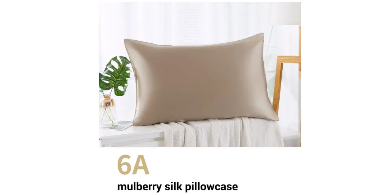 Amazon - 100% Silk Queen Pillowcase