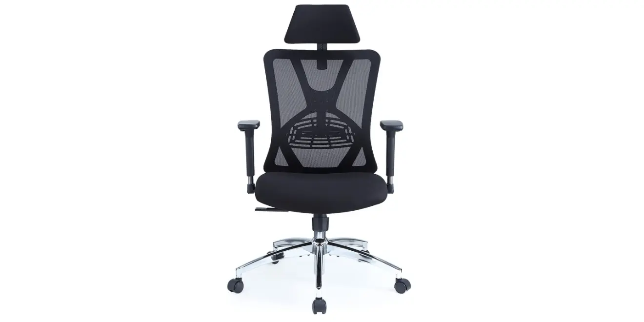 Amazon - Ergonomic Office Chair