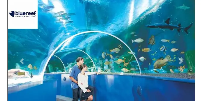 Kidspass - Free Child Vouchers to Blue Reef Aquarium Hastings with a £1 Kids Pass Trial