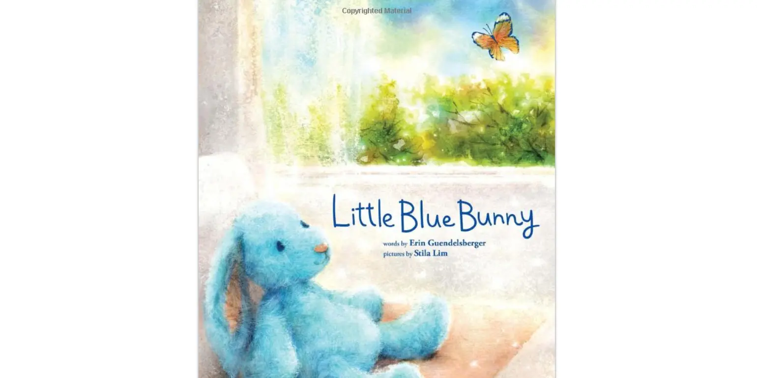 Amazon - Little Blue Bunny