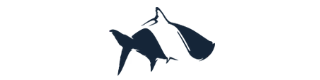 fishhippie Logo