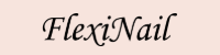 flexinail.org Logo