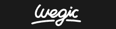 wegic.ai Logo